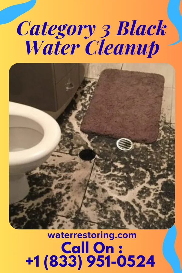 Category 3 Black Water Cleanup in Wabasha, MN
