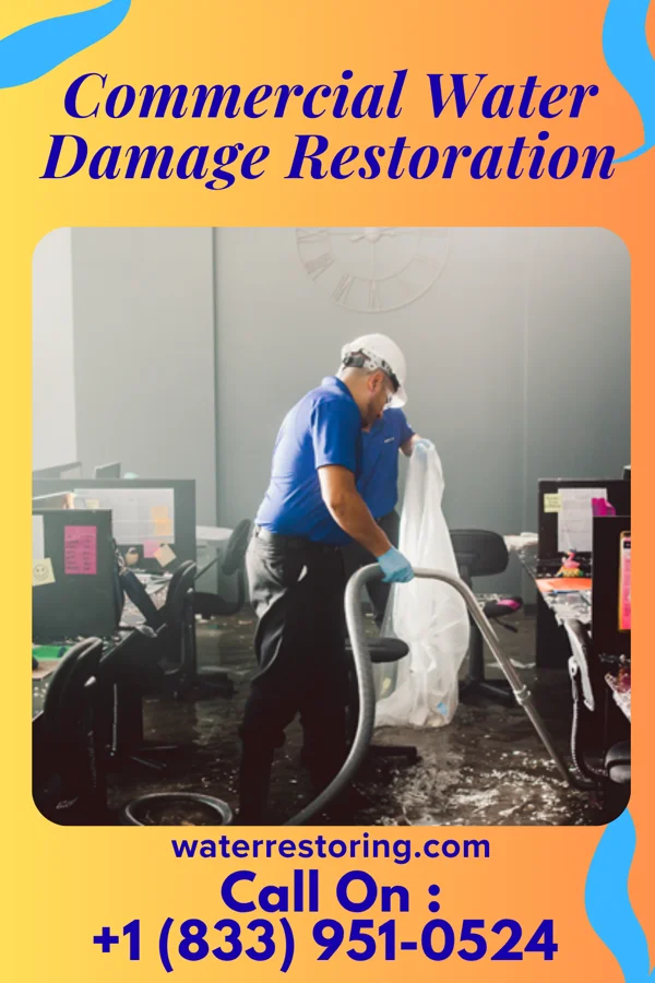 Commercial Water Damage Restoration in Wabasha, MN
